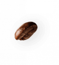 coffee-beans-P4MXYZD.png