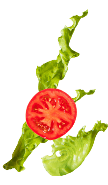 lettuce_tomato@2x-220x378