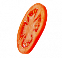 tomato-2.png